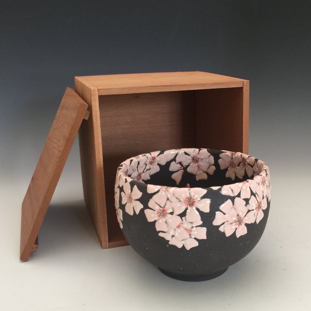 Cherry Blossoms